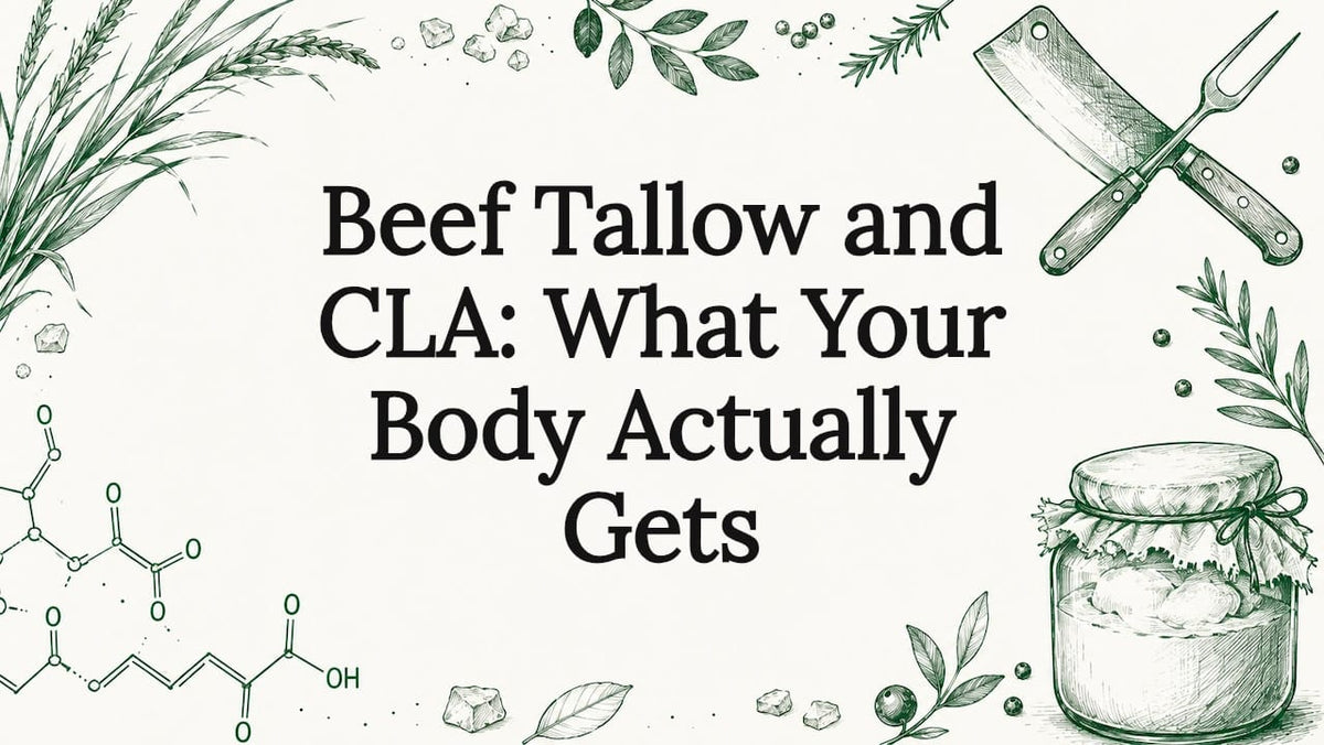 Decorative title card illustration for article