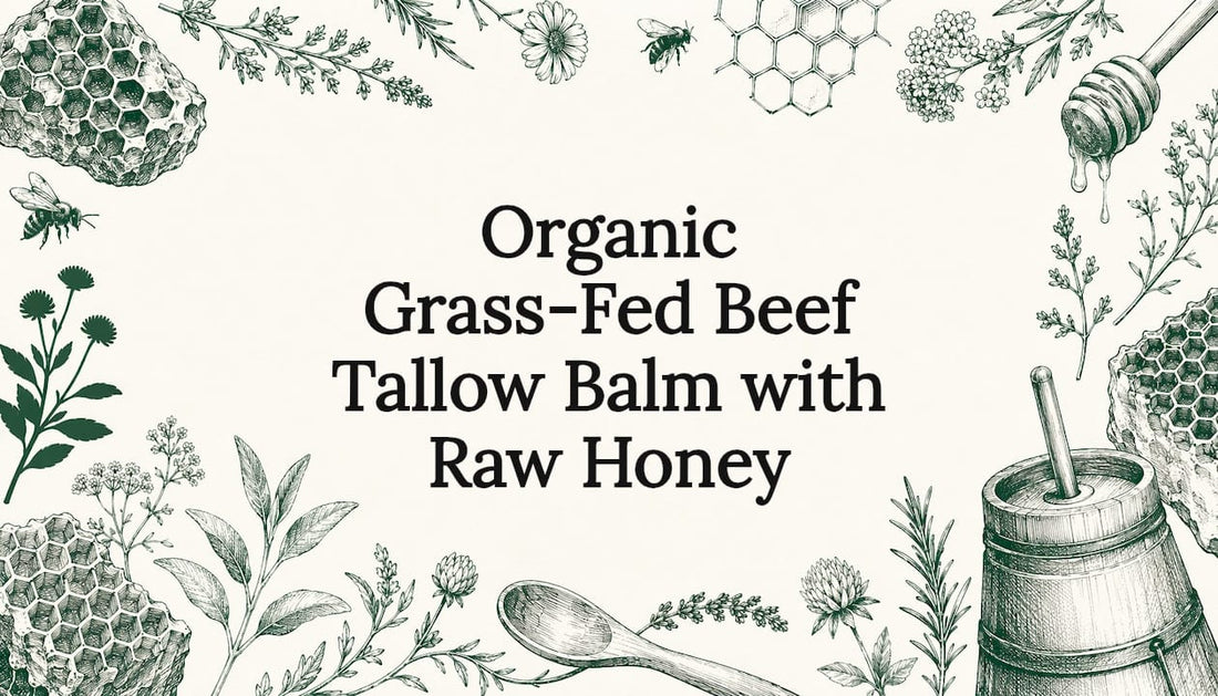 Decorative title card with natural illustrations