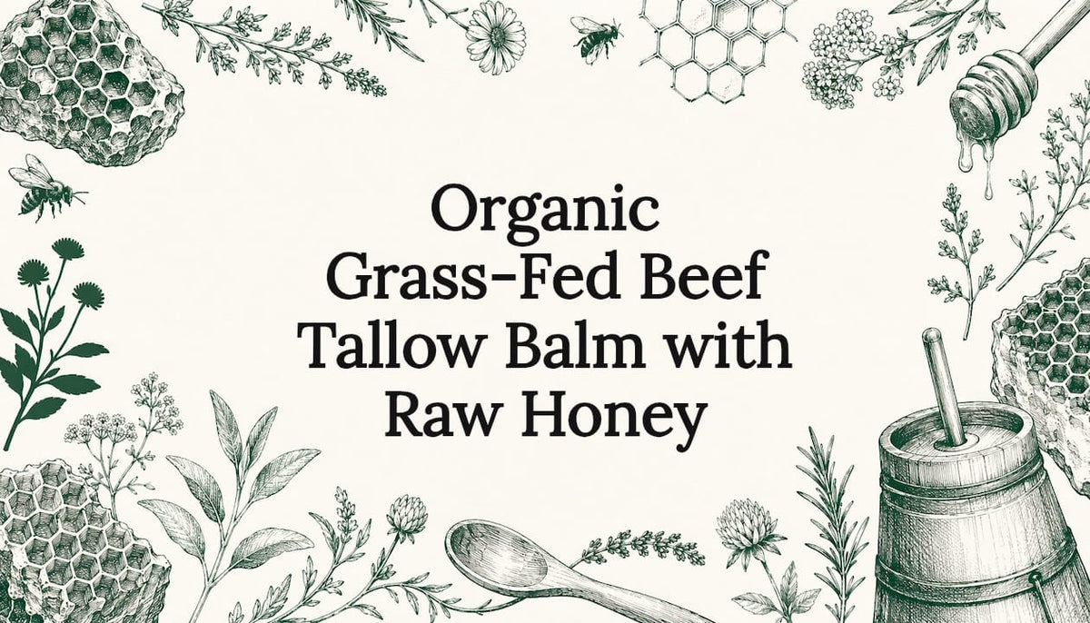 Decorative title card with natural illustrations