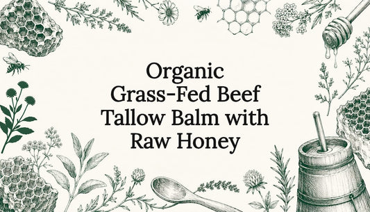 Decorative title card with natural illustrations