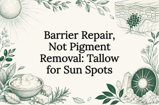 Decorative tallow and sun spots title card