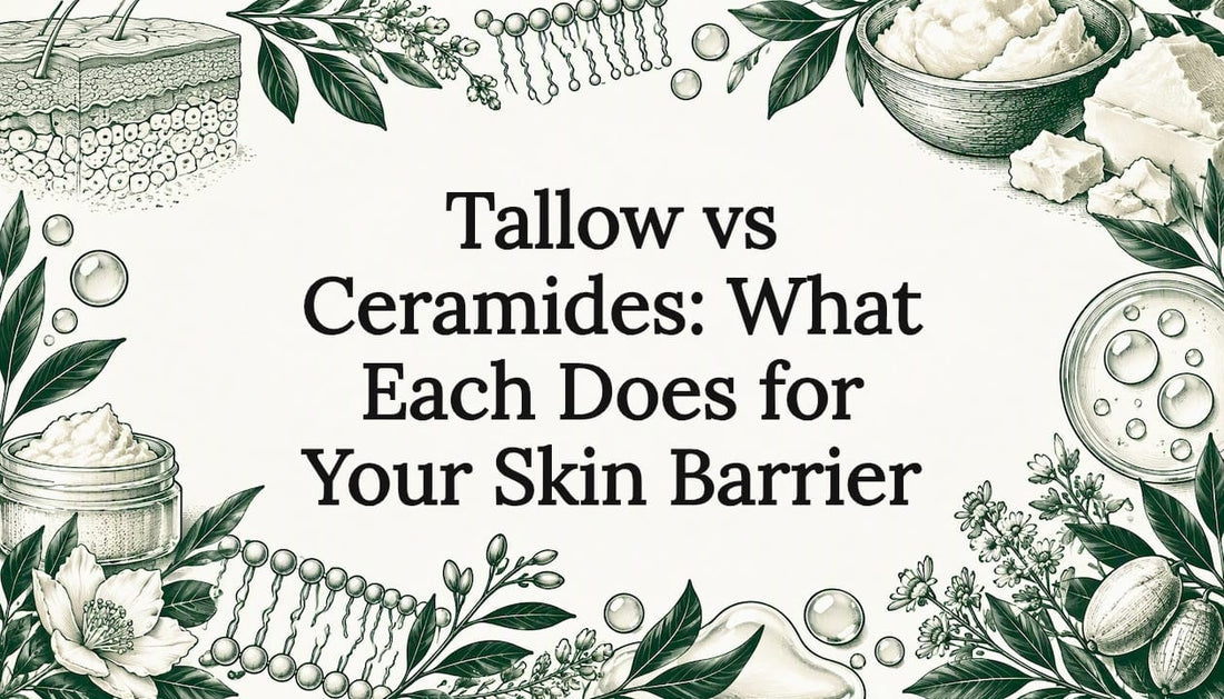 Hand-drawn skin barrier and botanical title card